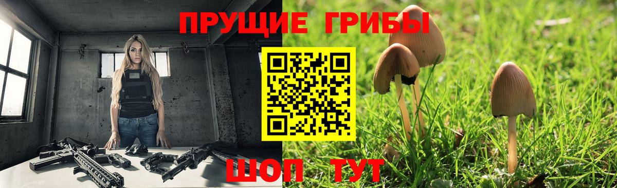 Галлюциногенные грибы мухоморы  Галлюциногенные грибы Psilocybine cubensis  Выборг  Вход с VPN 